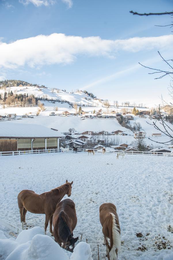 Hotel & Alpin Lodge Der Wastlhof Niederau Bagian luar foto